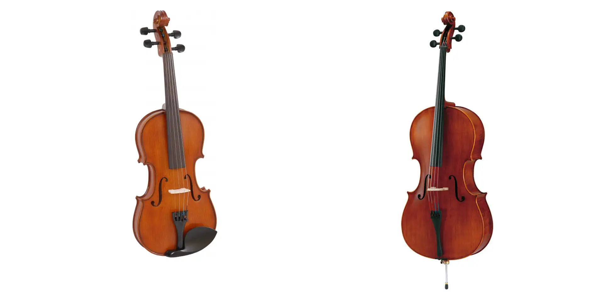 Viola para aluguer