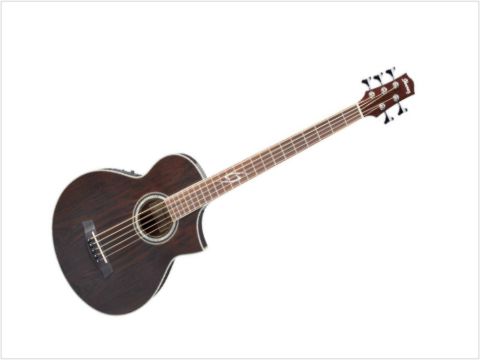 Baixo acústico Ibanez EWB205WNE 